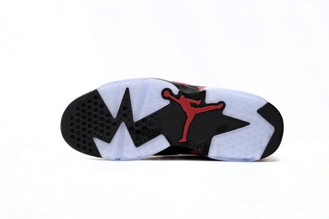 CT8529-600 Air Toro Jordan 6 0811